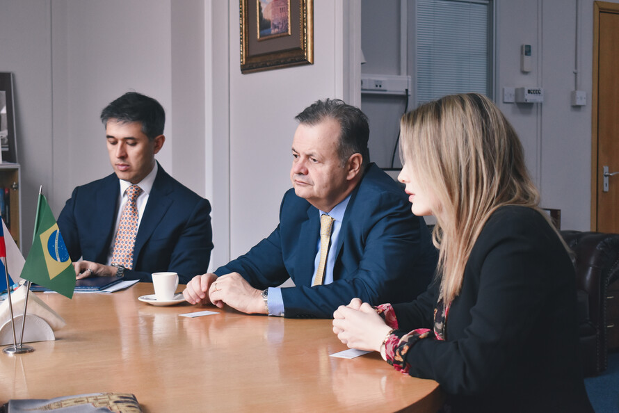 экспертное содействие